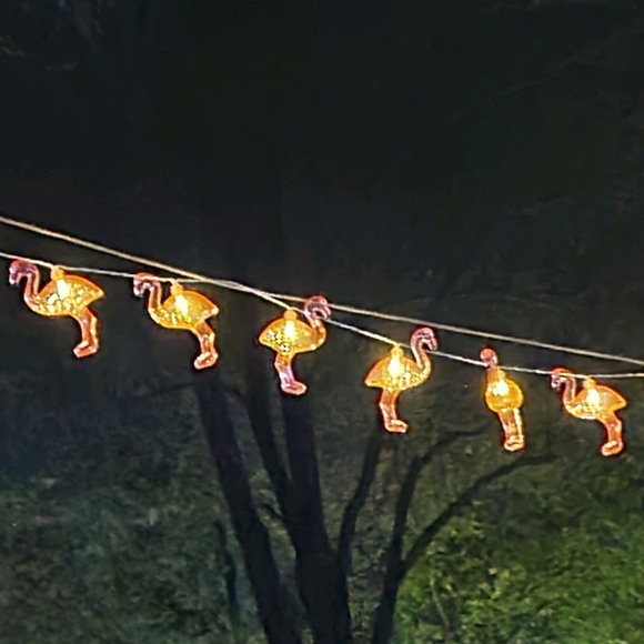 Meet your Posher, Melissa - Picture 1 of 1